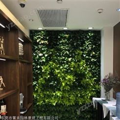 垂直绿化植物墙公司 植物墙出售立体植物厂家 箐禾园林