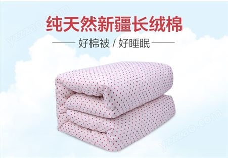 燕诺平纹棉被褥 双人冬季礼品被 3斤棉絮 可定制