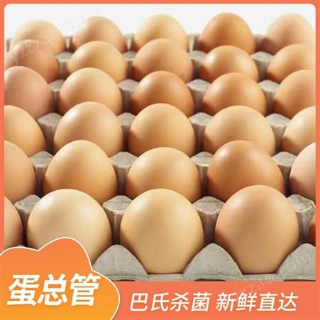 保洁鲜鸡蛋 农家谷物散养土鸡蛋 蛋总管 新鲜营养 品类多