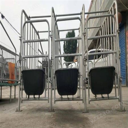 腾飞机械 养猪设备定位栏 养猪单体限位栏 猪场用限位栏
