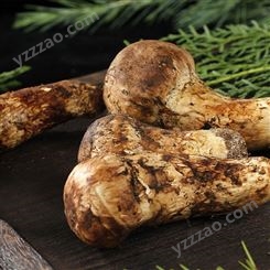 云南野生姬松茸干貨巴西蘑菇食用菌批發姬松茸蘑菇特產羊肚茵