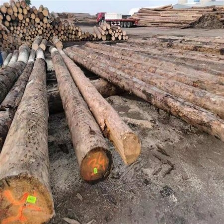 建亿建筑 工程工地用建筑木方 规格齐全 木材加工厂 支持定制