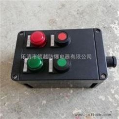 BZC8050-A2D2K1防爆按钮盒