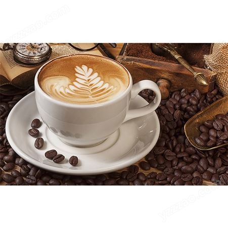 咖啡供应 合作方式灵活 奶茶店商用原料 卡布奇诺