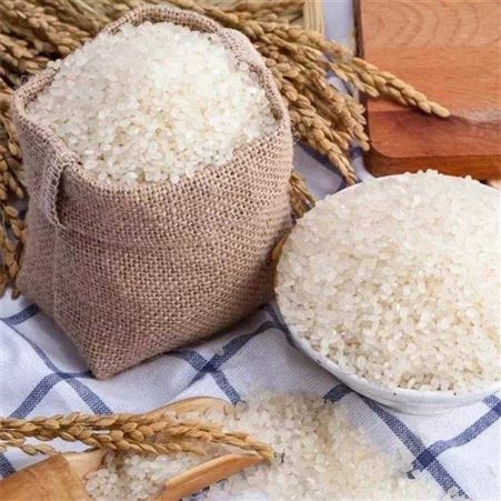 启旺长期收购霉变珍珠米高价积压五常大米回收