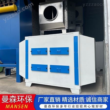 定制活性炭吸附净化装置 工业废气漆雾处理设备 环保箱