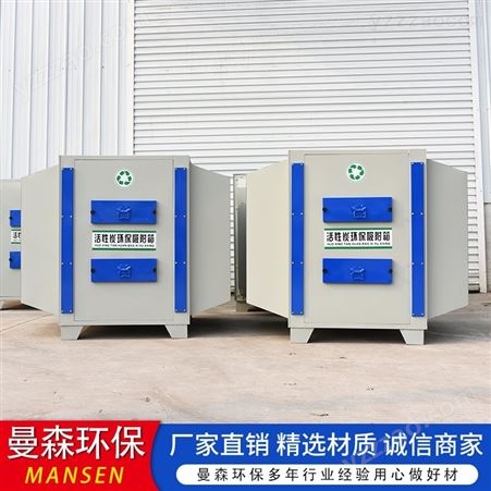 定制活性炭吸附净化装置 工业废气漆雾处理设备 环保箱